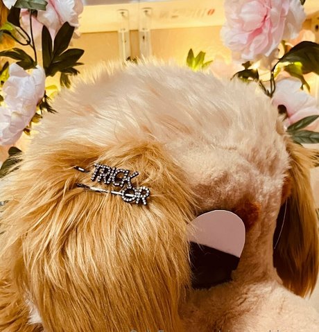 sinner shimmer beautiful model photos