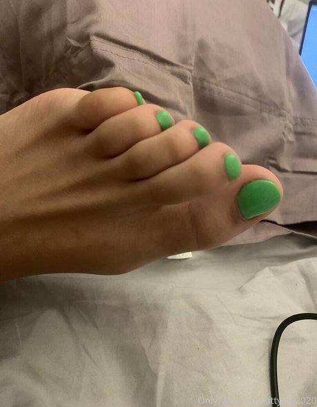 kittylog2020 star nice image