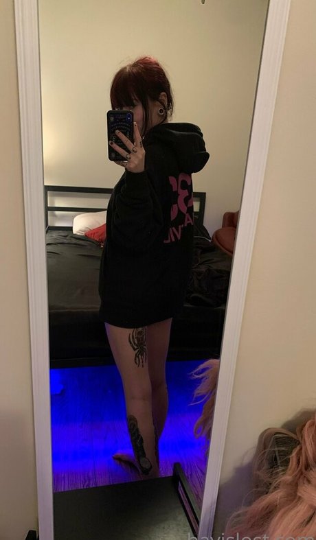 hayislost free model top img