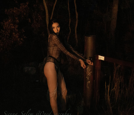 salemsienna pornstar naked pic