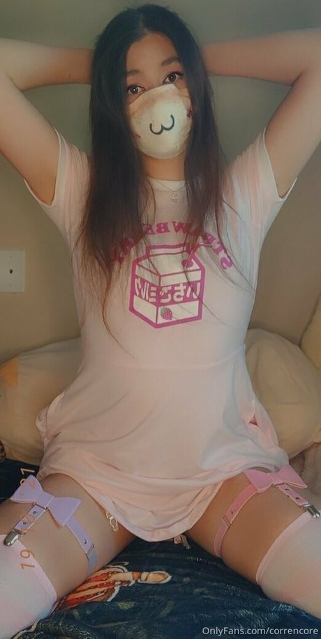 correncore art star archive