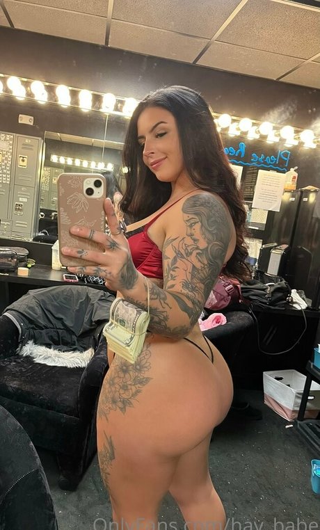 hay babe erotic pornstar photo