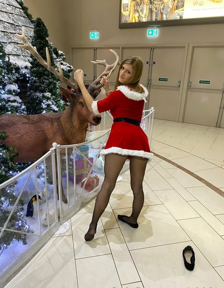 Abbivr star top galleries