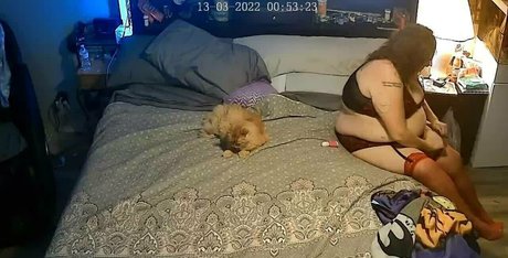 bbwdelights adult star pic