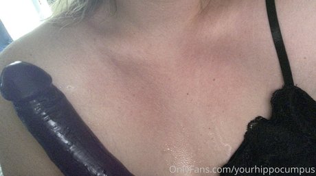 yourhippocumpus pornographic star img