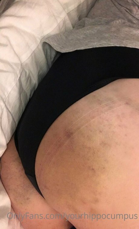 yourhippocumpus top pornstar images