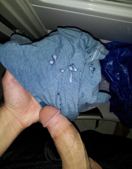 skaden11 top pornstar img