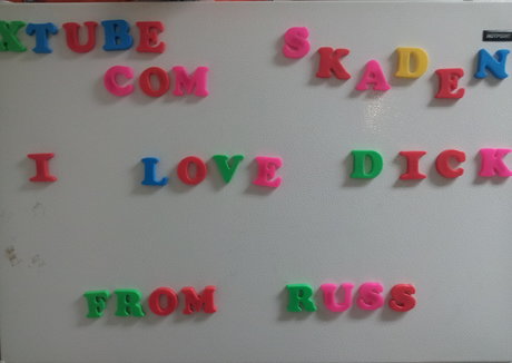 skaden11 model image