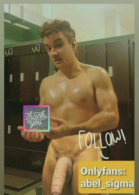 abel sigma model nice image