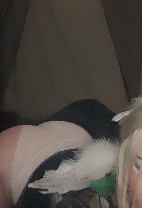 cupidoutlaw star free img