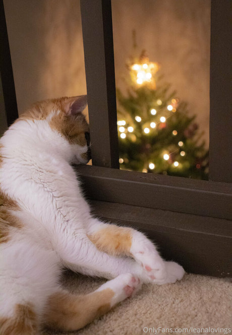 leanalovings pornstar top archive