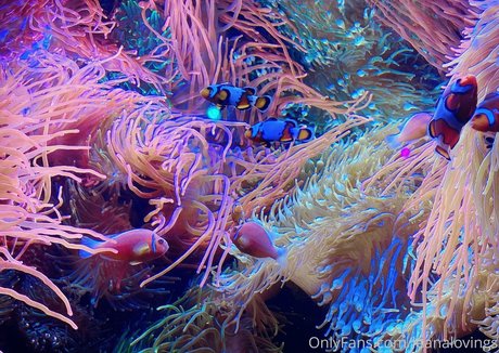 blonde cougar onlyfans sexy xxx pictures