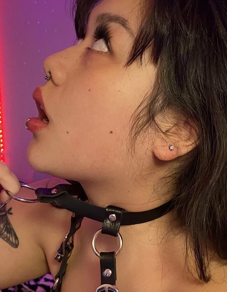 cumdumplin pretty pornstar archive