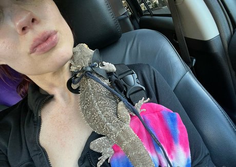 cultofjess star pics