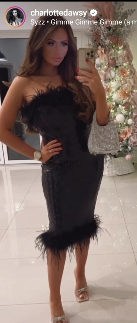 Charlotte Dawson top actress img