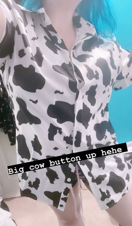 Will O star perfect picture