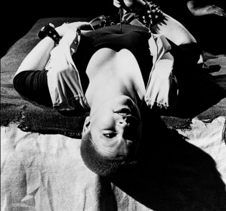 Toyah free star galleries