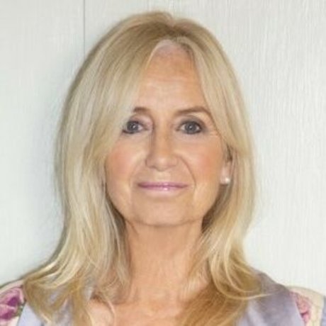 Susan George sexy model image