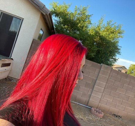 drearoseee hot pornstar img