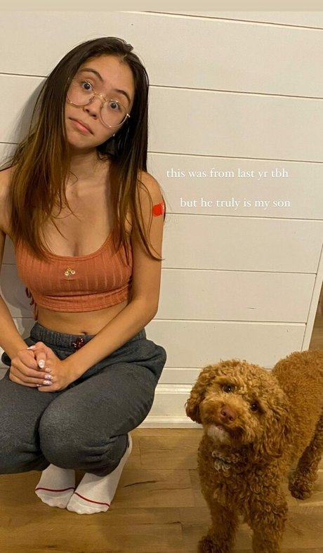 Tiptoetingles model perfect galleries