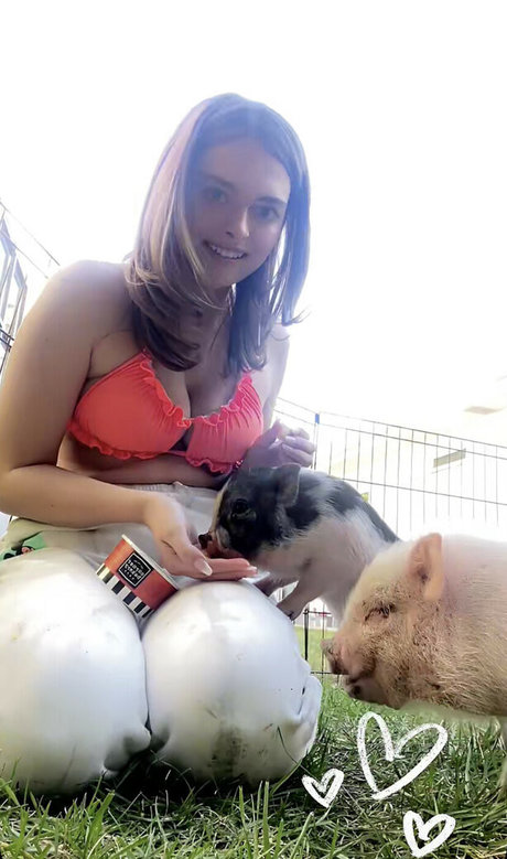 Abryancat model art pictures