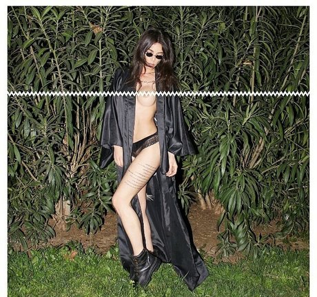 Didem Dinc top model picture