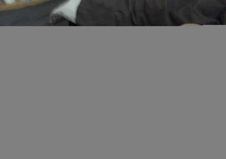 Bruiserbrogan star hd images