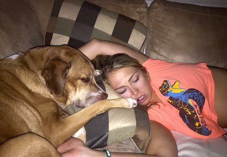 Senator Lauren Book pornstar adult pic