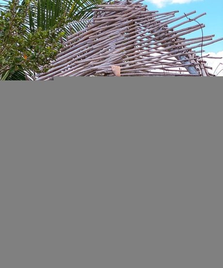 Thalita Nascimento naked pornstar galleries