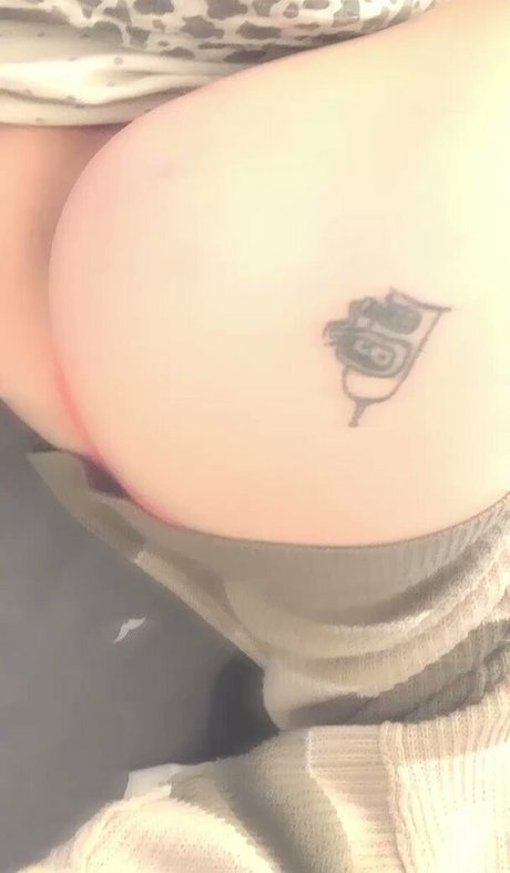 Malavidasad high quality star picture