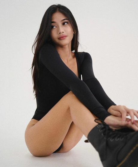 gilga d nice star galleries