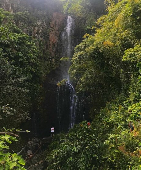 Sanjana sexy actress image