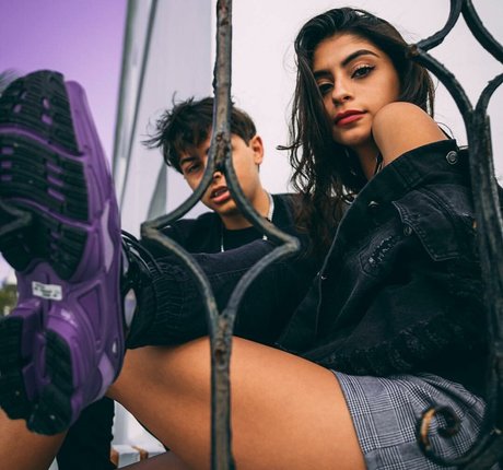 Antoenella star adult img