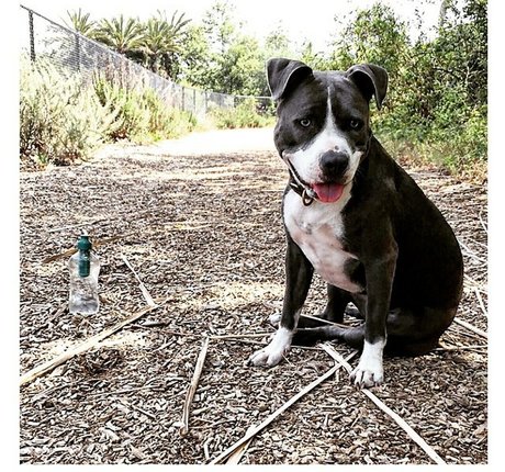 Jenna Ashley pornstar exclusive picture