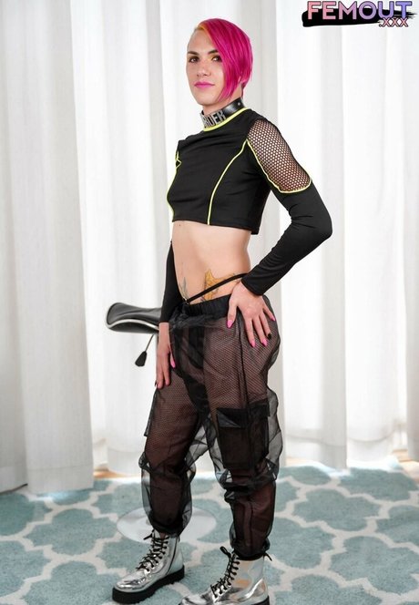 Haven Starr top pornstar pic