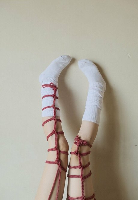 meru12sai exclusive model archive