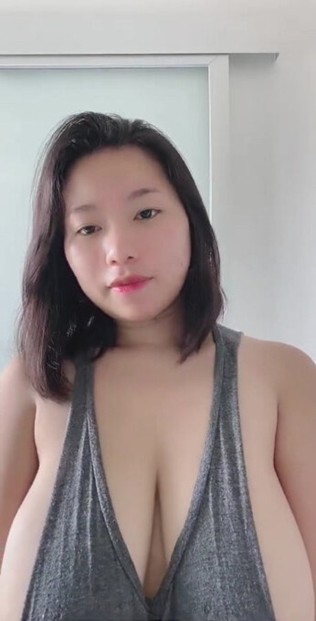 Saranrom model top image