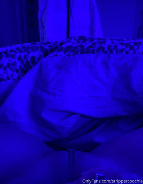 Mel Farahmand free star images