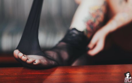 Skyhook Nova star pictures