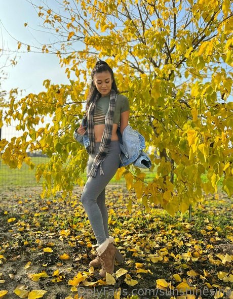 sunshinesinababy star perfect img