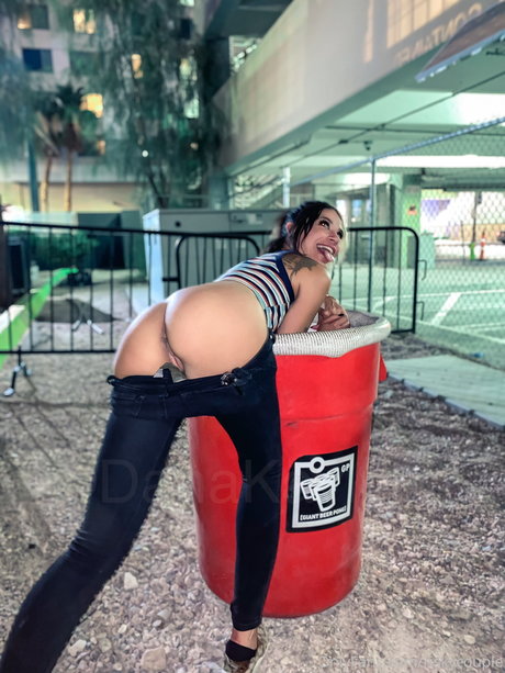 Dana Rabe art star pic