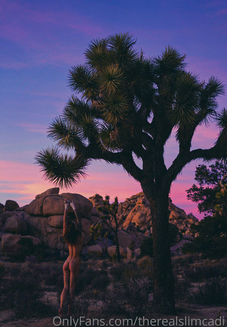 therealslimcadi star nudes pics