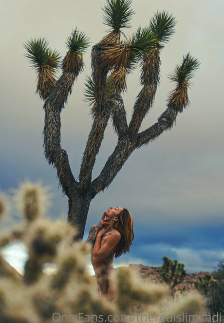 therealslimcadi star nice image