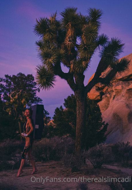 therealslimcadi nice star images