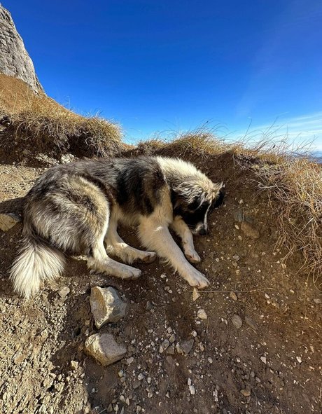 Anisyia_ model best pictures