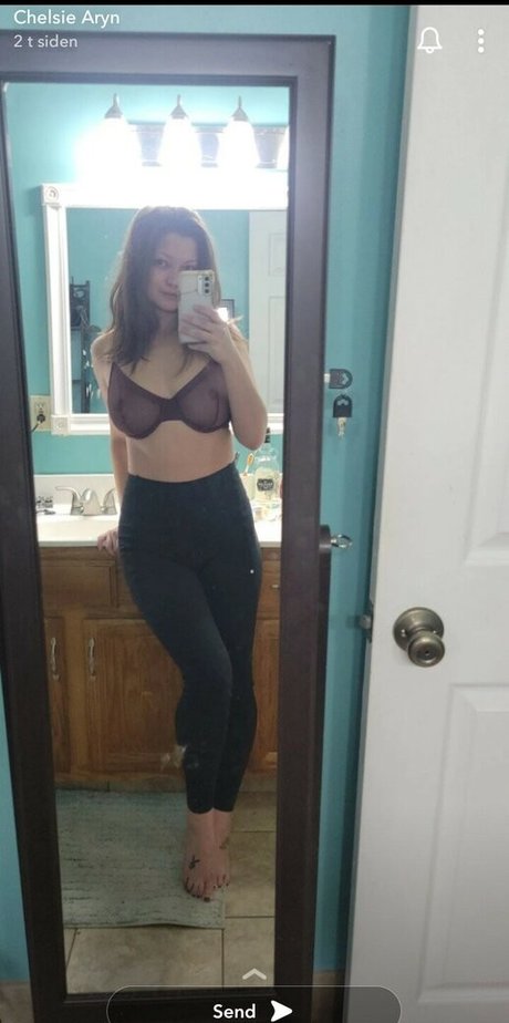 Chelsie Aryn star nude pictures