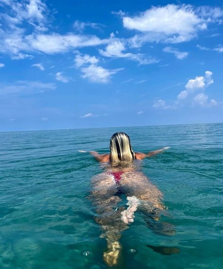 Sage Wiley model top images