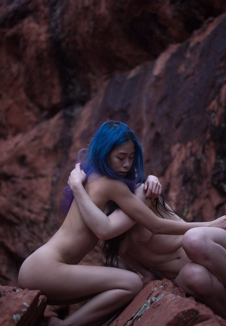 mothandrust beautiful star galleries