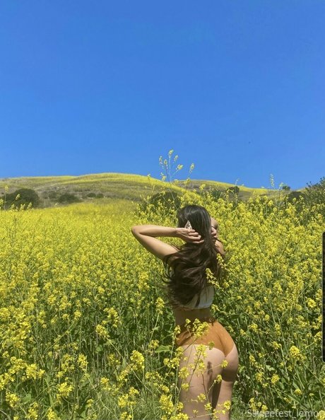 Ssweetest lemon star art photo