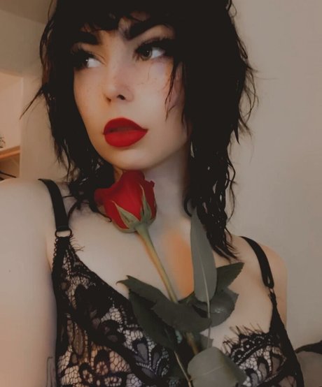 halthewizard nice star pics